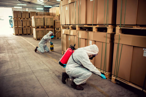 Best Pest Control Treatment  in Babbitt, MN