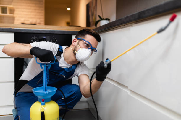 Best Termite Control Services  in Babbitt, MN