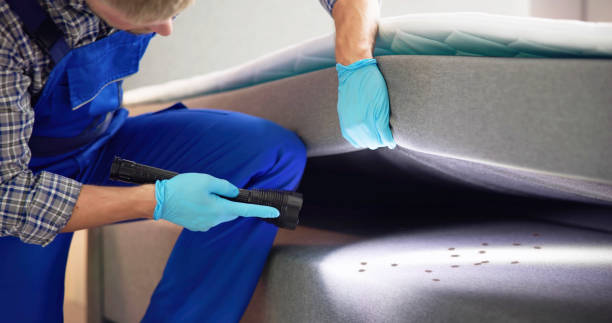 Best Best Pest Control Companies  in Babbitt, MN