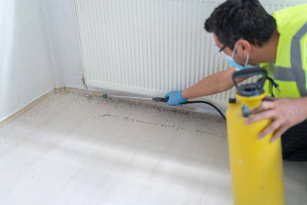 Best Residential Pest Control  in Babbitt, MN