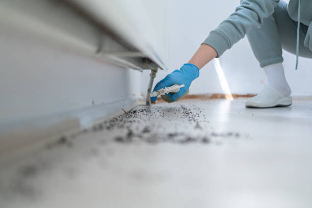 Best Pest Prevention Services  in Babbitt, MN