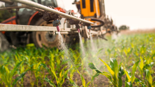 Reliable Babbitt, MN Pest Control Solutions